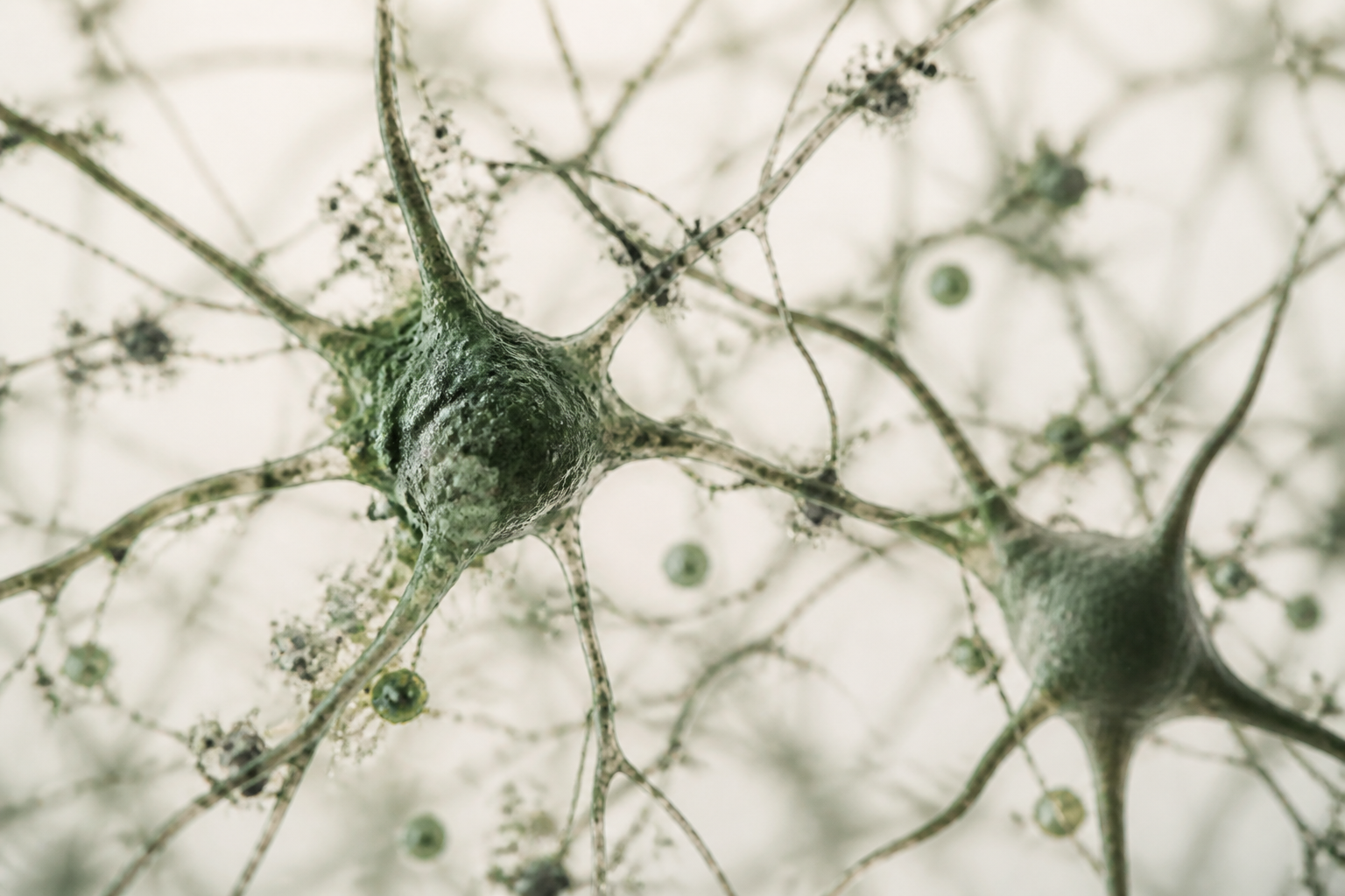 Gesunder Stress ist ein Mythos: Warum Eustress dein Nervensystem genauso zerstört